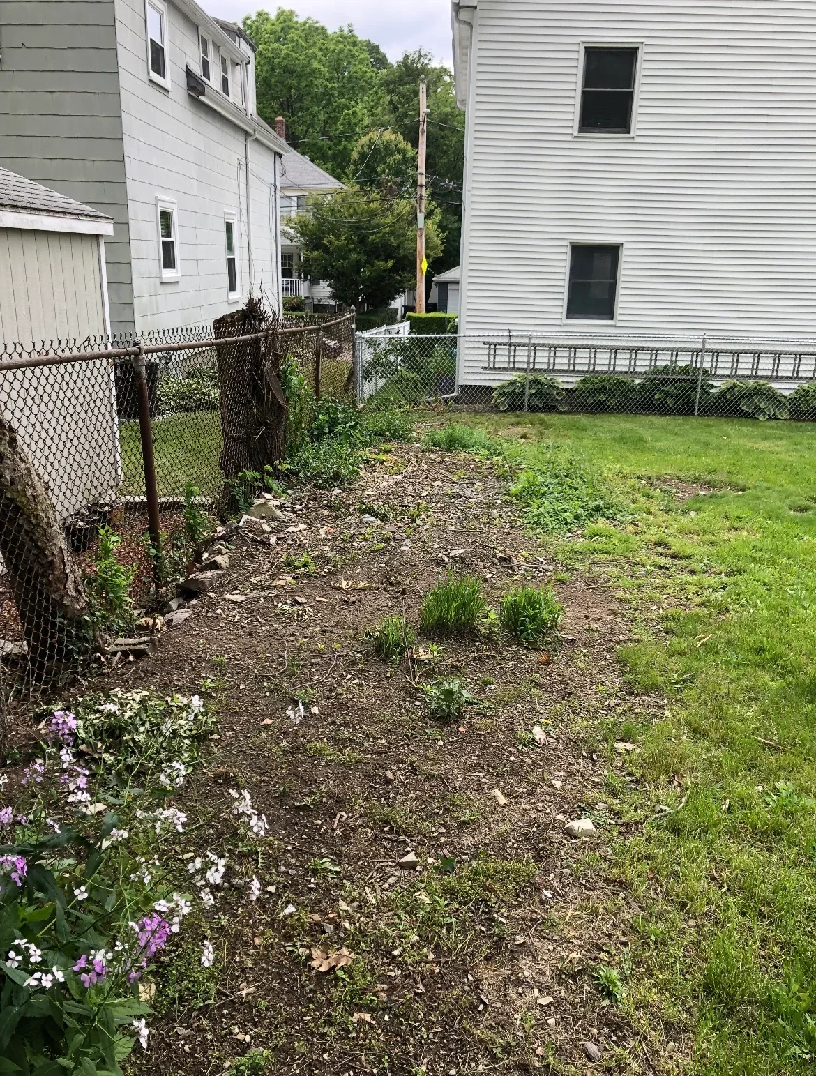 Cleared backyard with mulched planting beds, chain-link fencing, and fresh lawn grading between residential homes