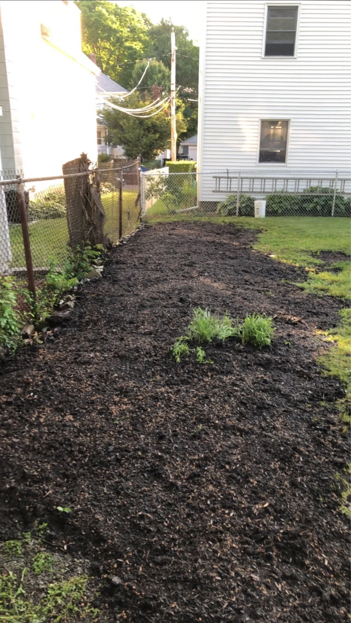 Dark mulch garden bed with new plantings and chain-link fence border along residential yard
